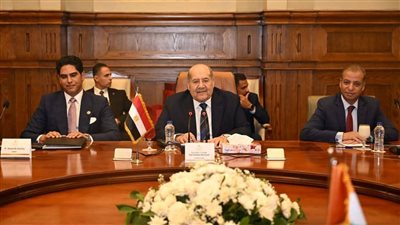 رئيس الشيوخ يستقبل نظيرته الإيفوارية ويؤكد: علاقاتنا راسخة ونتطلع لتعزيز التعاون البرلماني والتكامل الإفريقي