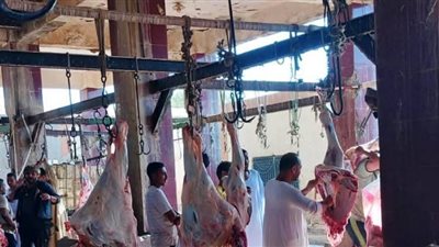 استعدادا لعيد الأضحى المبارك .. محافظ أسوان يكلف مسئولى الطب البيطرى لتحقيق الجاهزية الكاملة داخل 13 مجزر لذبح لحوم الأضاحى