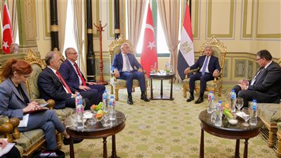 فتحي يبحث مع  وزير الثقافة والسياحة  التركي  تعزيز التعاون المشترك بين البلدين