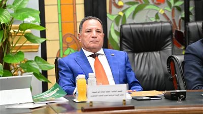 أبوهميلة: زيارة الرئيس السيسي لليونان تعزز الشراكة الإستراتيجية بين القاهرة وأثينا