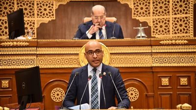 برلماني يقرع جرس الإنذار: التطرف الديني يهدد أمن مصر وعلينا المواجهة فورًا