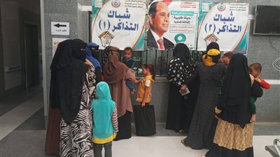الوادي الجديد.. قوافل 