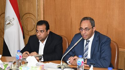 محافظ قنا يبحث مع وفد 