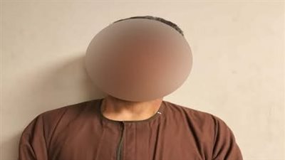 ضبط أحد الأشخاص تحرش بطفلة بحديقة مدينة نصر