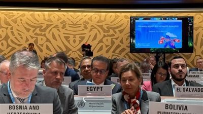 الدكتور خالد عبدالغفار يدعو لدعم الأشقاء بدولتي فلسطين والسودان وتوفير الحماية الإنسانية والصحية للمدنيين