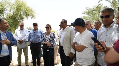 محافظ قنا ومساعد وزير التنمية المحلية ووفد البنك الدولي يتفقدون تكتل النباتات الطبية والعطرية بقفط