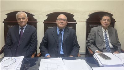 حيثيات إعدام ربة منزل قتلت شقيقتها وابنها.. والسجن 15 عامًا لنجلها