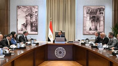 رئيس الوزراء يستقبل نائب رئيس شركة 