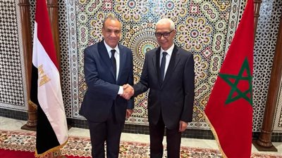 وزير الخارجية والهجرة يجتمع برئيس مجلس النواب المغربي في الرباط