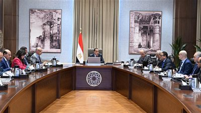 رئيس الوزراء يتابع مشروعات الوادي الجديد الخدمية والتنموية مع الوزراء المعنيين