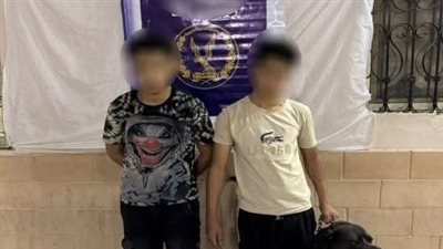 الأجهزة الأمنية تكشف ملابسات فيديو متداول.. وتضبط المتهمين وبحوزتهما مخدرات وأسلحة بيضاء