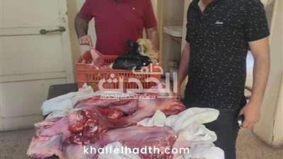 محافظ أسيوط يوجه بتكثيف الرقابة التموينية.. ويعلن ضبط لحوم غير صالحة وتحرير 118 محضرًا