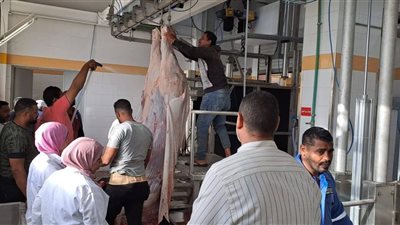 تطوير 8 مجازر في خمس محافظات استعدادًا لعيد الأضحى ضمن خطة بيطرية موسعة