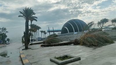 ننشر تقرير غرفة عمليات ومركز السيطرة بمحافظة الإسكندرية بنتائج وخسائر موجة الطقس غير المستقر