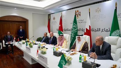 وزير الخارجية والهجرة يشارك في اجتماع اللجنة الوزارية العربية الإسلامية مع جلالة ملك الأردن واجتماع اللجنة مع الرئيس الفلسطيني