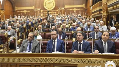 “الوطنية للانتخابات” تكشف تفاصيل إجراء انتخابات مجلس الشيوخ.. الثلاثاء المقبل