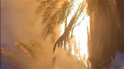 عاجل | حريق هائل في مخزن بيبسي بجوار مزلقان قليوب 