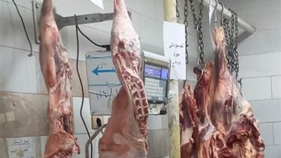 بمناسبة عيد الأضحى المبارك.. تخصيص المعارض الدائمة والمنافذ والشوادر لبيع اللحوم بأسعار مخفضة بمدن و مراكز أسوان  