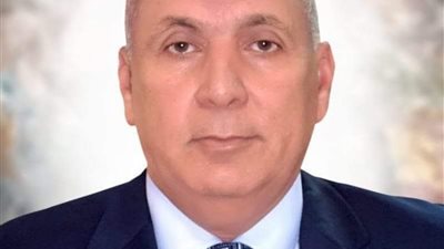 الوادي الجديد ترفع درجة الاستعداد القصوى بالمرافق والقطاعات لاستقبال عيد الأضحى المبارك