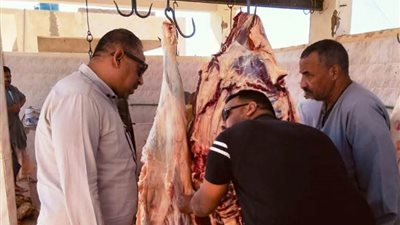   حملات مكبرة على الأسواق بمدن أسوان لضبط الأسعار والتأكد من توافر السلع خلال أيام عيد الأضحى المبارك