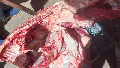 ضبط لحوم مذبوحة خارج المجازر الحكومية.. وتحرير 317 محضرًا تموينيًا في حملات مكثفة بمراكز أسيوط 
