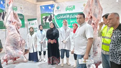 محافظ أسيوط:يشهد ذبح 230 رأس ماشية وتوزيعها على الأسر الأولى بالرعاية