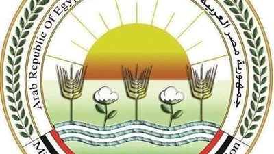 المجازر الحكومية استقبلت أكثر من 34 ألف أضحية في العيد بجميع المحافظات