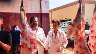  ذبح 3169 رأس من الماشية بإشراف بيطرى كامل داخل 13 مجزر خلال أيام عيد الأضحى بأسوان