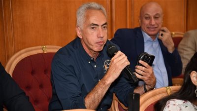 السنباطي: بيان الخارجية يعبر عن إرادة الدولة والشعب دون انفصال
