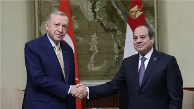 السيسي وأردوغان يحذّران من فوضى شاملة بالمنطقة ويدعوان للحل السلمي