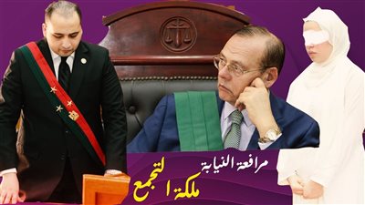 فيديو.. مرافعة النيابة تكشف تفاصيل صادمة في قضية ريم ملكة التجمع