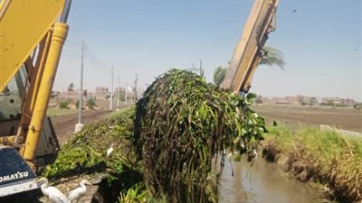 محافظ أسيوط يدفع بمعدات التطهير الثقيلة لحماية الرقعة الزراعية من العطش