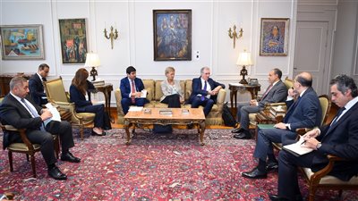 وزير الخارجية يشدد على وقف العدوان الإسرائيلي ويجدد رفض مصر لتهجير الفلسطينيين