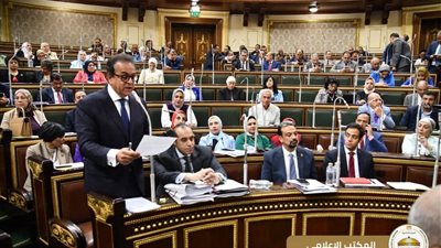 وزير الشئون النيابية يشارك في مناقشة قوانين المهن الطبية بالنواب