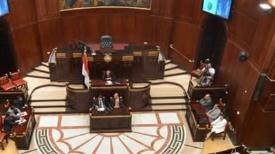 مجلس الشيوخ.. منعطف رئيس على طريق بناء الجمهورية الجديدة وتعزيز التجربة البرلمانية