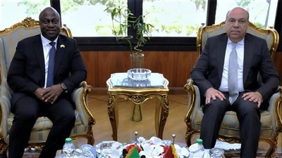 الحفني  يبحث مع نظيره السيراليوني دعم التعاون المشترك في مجالات الطيران المدنى  المختلفه