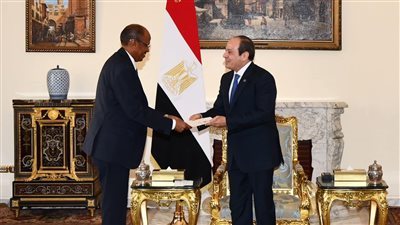 الرئيس السيسي يبحث مع نظيره الغاني سبل تعزيز العمل الجماعي على مستوى إفريقيا