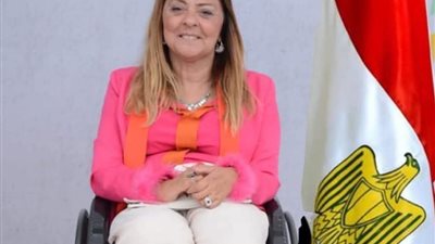 المشرف على القومي للإعاقة: الإنسان أساس التنمية