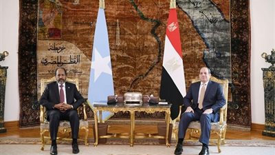 السيسي يستقبل رئيس جمهورية الصومال لبحث الأوضاع الإقليمية والقارية