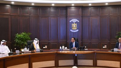 رئيس الوزراء يبحث فرص التعاون مع رئيس مجموعة 