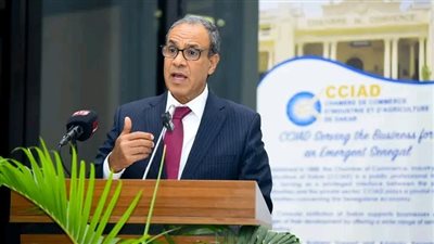 وزير الخارجية يؤكد لنظيره الأمريكي ضرورة تكثيف الجهود لوقف نزيف الدماء ومنع تهجير الفلسطينيين