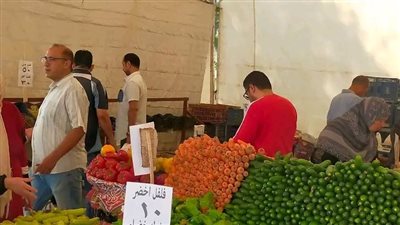 محافظ الدقهلية: استمرار انطلاق أسواق اليوم الواحد الجمعة والسبت كل أسبوع بشارع قناة السويس بمدينة المنصورة
