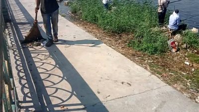 دمياط: الوحدات المحلية تواصل جهودها لرفع المخلفات و مكافحة الحشرات والبعوض وتطهير جسر النيل