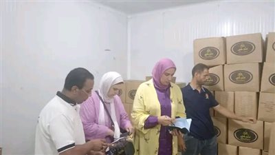 محافظ الدقهلية: ضبط 4 طن لحوم ومصنعاتها غير مطابقة للمواصفات بطلخا