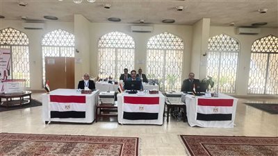 فتح باب الاقتراع في انتخابات مجلس الشيوخ للمصريين بالخارج
