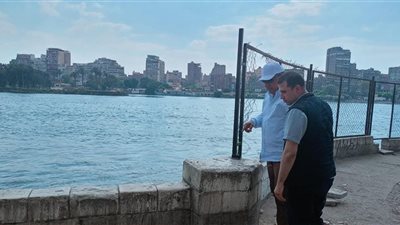 وزير الكهرباء يتفقد أعمال تغذية محطة جزيرة الدهب عبر النيل