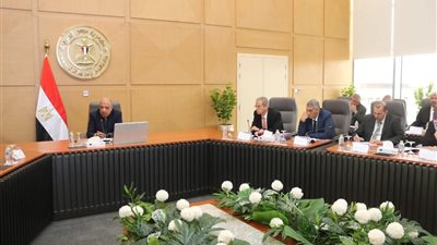 وزير الكهرباء يوجه بمواصلة خطة مواجهة الأحمال لضمان استقرار الشبكة
