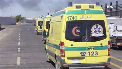 جريمة صادمة في بورسعيد.. التفاصيل الكاملة لمقتل «فاطمة» على يد زوجة شقيق خطيبها