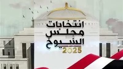 إقبال كثيف في ثاني أيام التصويت بالدقهلية وسط مشاهد وطنية لافتة