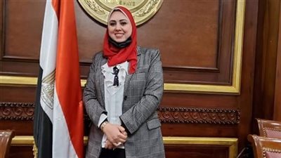رشا مهدي: انتخابات مجلس الشيوخ 2025 لحظة فاصلة لمستقبل مصر
